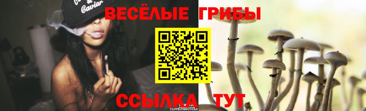 Новоуральск  Псилоцибиновые грибы ЛСД  Вход с VPN 