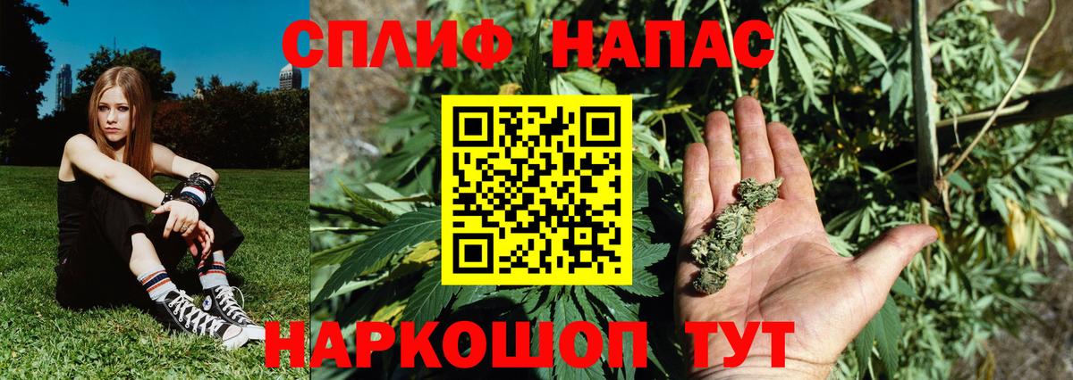 Шишки марихуана семена  Вход с VPN  Бошки марихуана OG Kush  МАРИХУАНА конопля  Новоуральск 